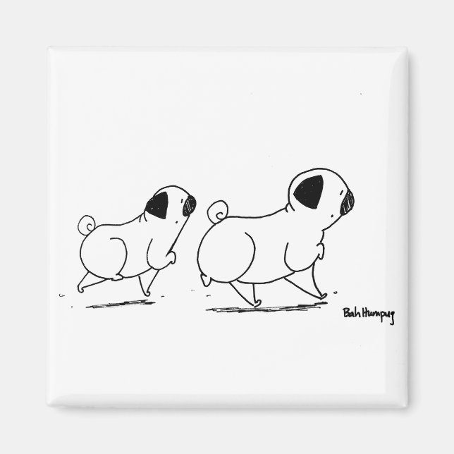 Aimant Carlins Snooty (Devant)