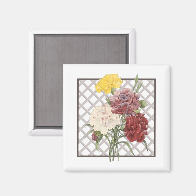 AIMANT CARNATIONS (Recto/Verso)