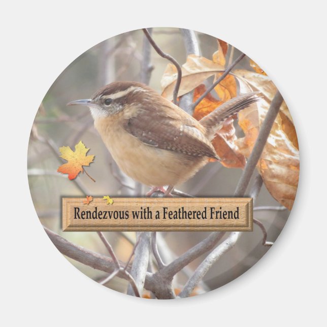 Aimant Carolina Wren Birding Magnet. (Devant)
