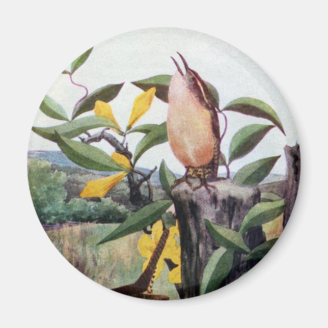 Aimant Carolina Wrens et Jessamine jaune (Devant)