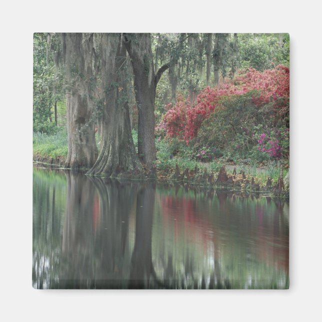 Aimant Caroline du Sud, Charleston (Devant)