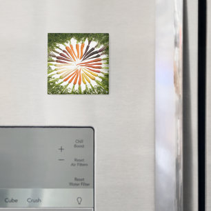 Aimant Carottes Légumes Coloré Arc-en-ciel Jardin Motif