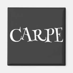 AIMANT CARPE