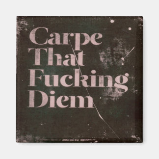 Aimant Carpe diem