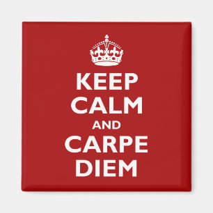 Aimant Carpe Diem !