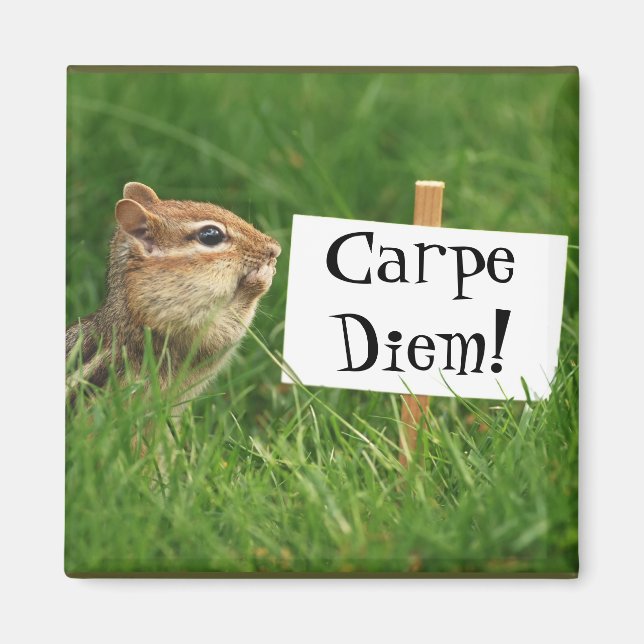 Aimant Carpe Diem ! Chipmunk avec signe (Devant)