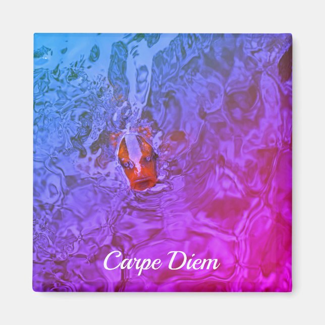 Aimant Carpe Diem Pond Fish Fun Photographie (Devant)