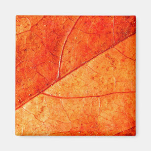 Aimant carré de feuille d'automne
