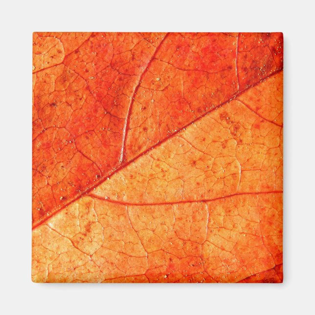 Aimant carré de feuille d'automne (Devant)