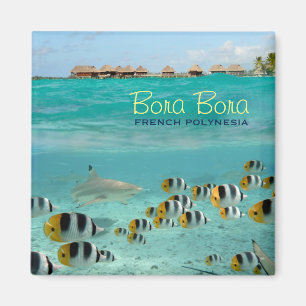 Aimant carré de requin avec Bora Bora texte