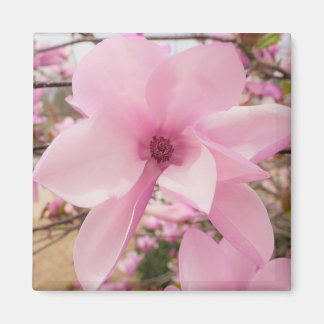 Aimant Carré rose Magnolia