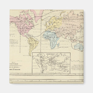 Aimant Carte en couleur du monde