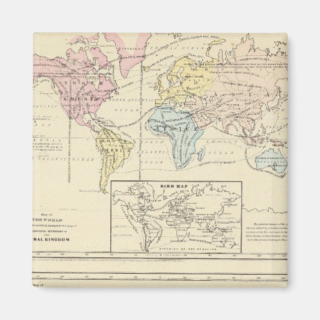 Aimant Carte en couleur du monde (Devant)