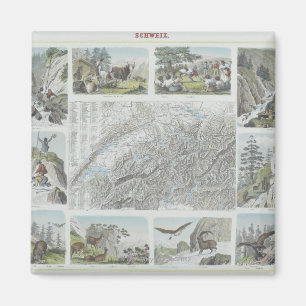 Aimant Carte et vignettes des Alpes suisses