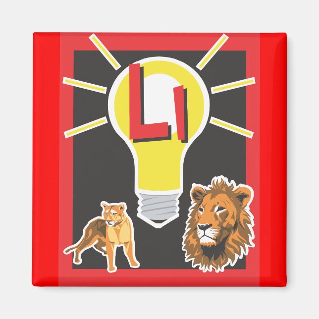 Aimant Carte Flash (Devant)