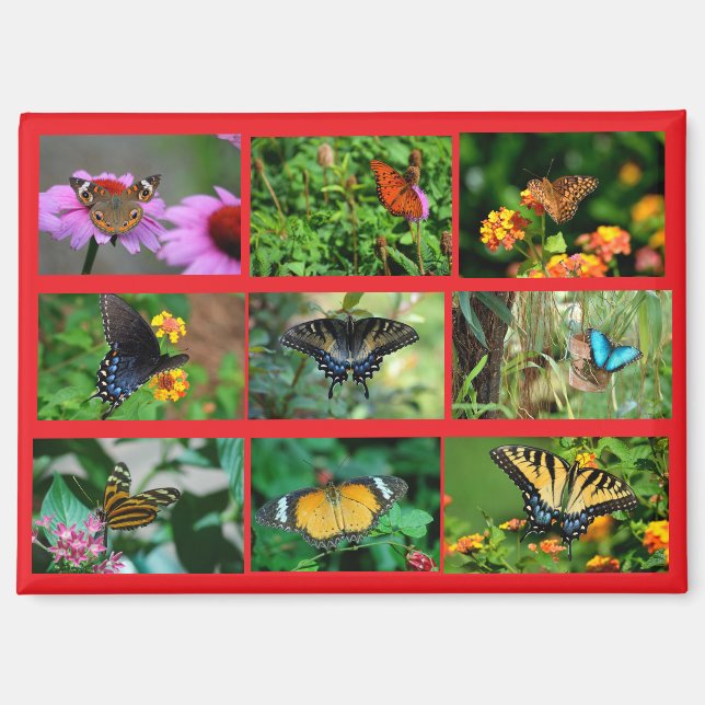 Aimant Carte postale Macro Butterflies (Recto)