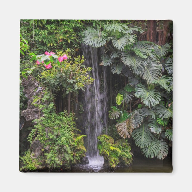 Aimant Cascade du jardin luxuriant, Chine (Devant)