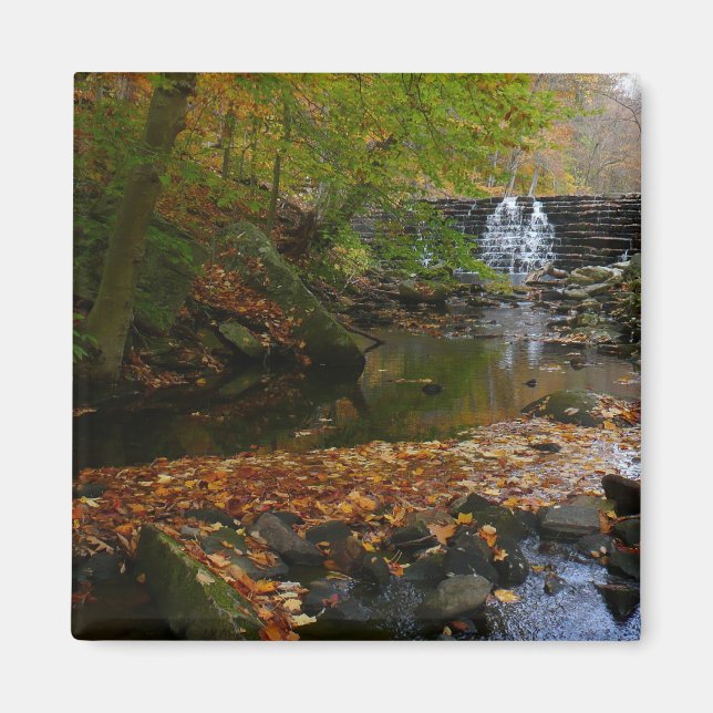 Aimant Cascade et ruisseau d'automne en Pennsylvanie Natu (Devant)
