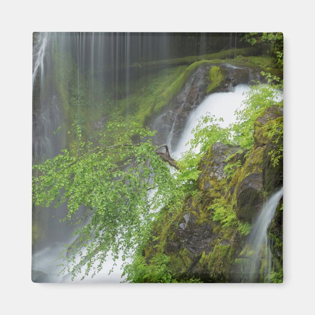 Aimant Cascade Verte Scénique (Devant)
