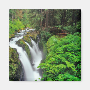 Aimant Cascades de Sol Duc dans le parc national Olympiqu