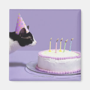 Aimant Casquette de port d'anniversaire de chat soufflant