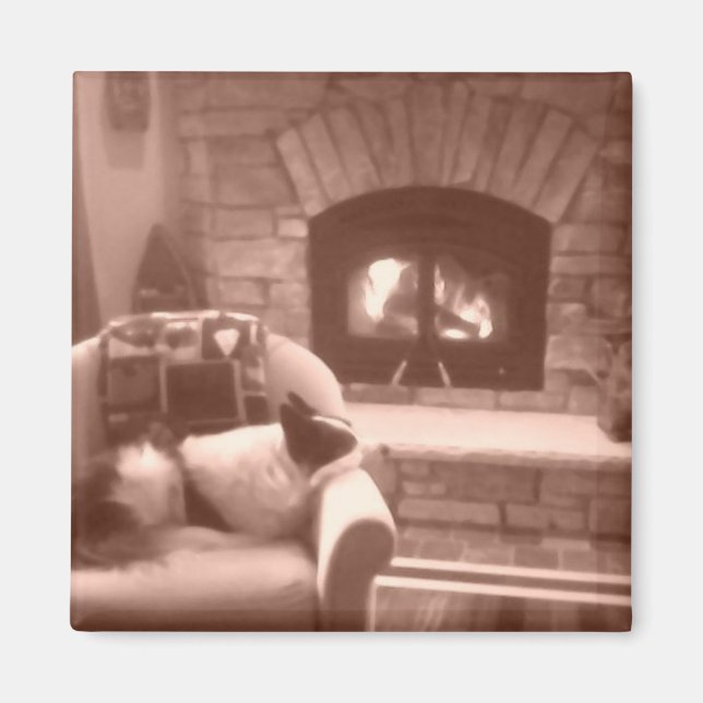 Aimant Cassie (Devant)