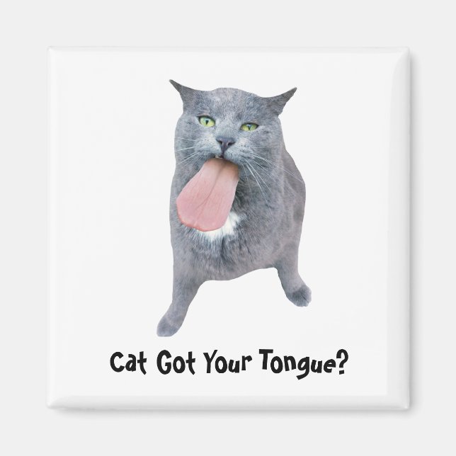 Aimant Cat Got Your Tongue? (Devant)