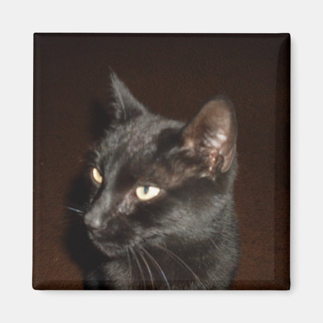 aimant CAT NOIR (Devant)