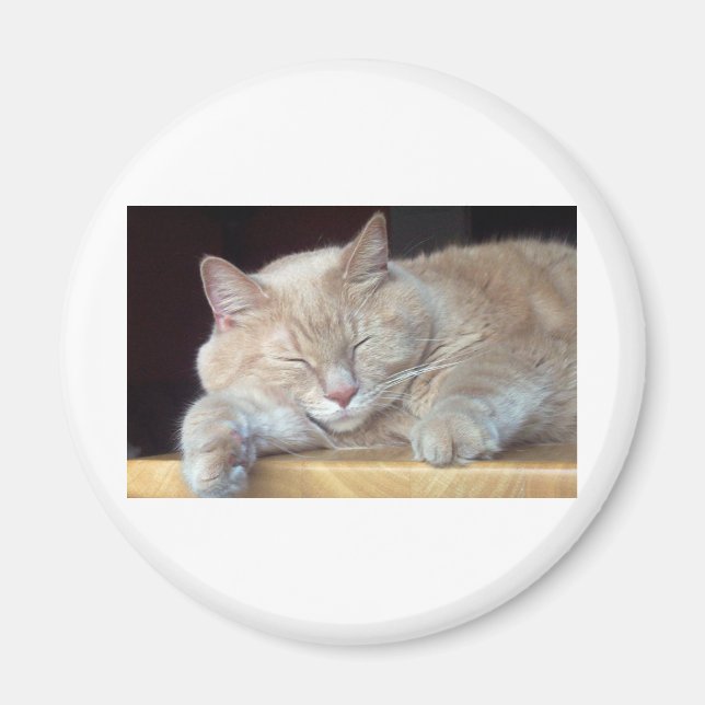 AIMANT CAT SOMNOLENT MIGNON (Devant)
