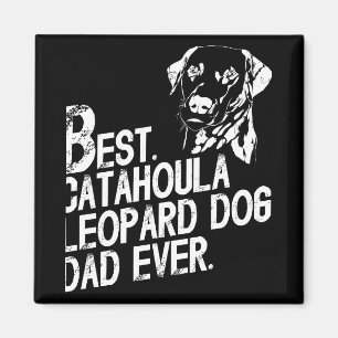 Aimant Catahoula Leopard Papa Jamais, Propriétaire De Chi