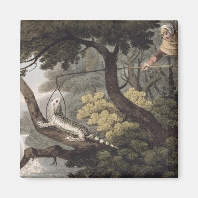 Aimant Catcher de Lizard mexicain, gravé par Matthew Dubo (Devant)