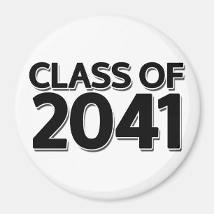 Aimant Catégorie 2041