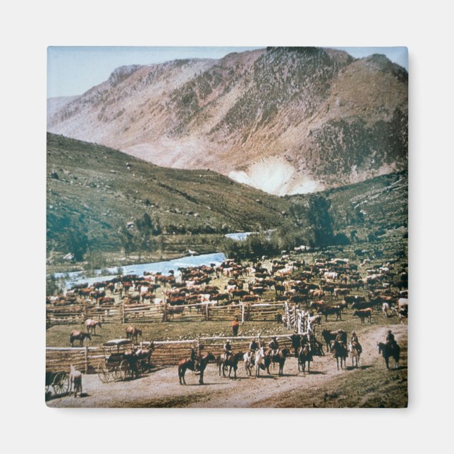 Aimant Cattle Ranch, Colorado, 1899 (photo) (Devant)