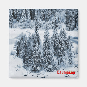 Aimant Caumasee