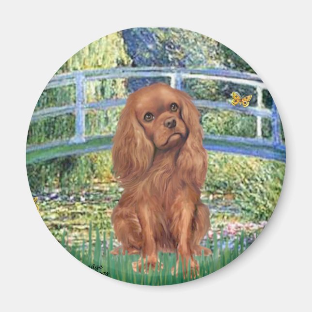 Aimant Cavavlier (Ruby7) - Pont (Devant)