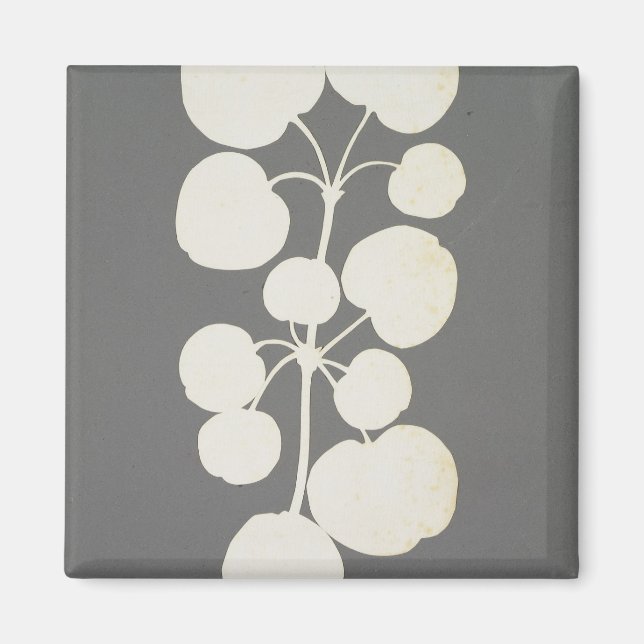 Aimant Cayenne Pepper (Devant)