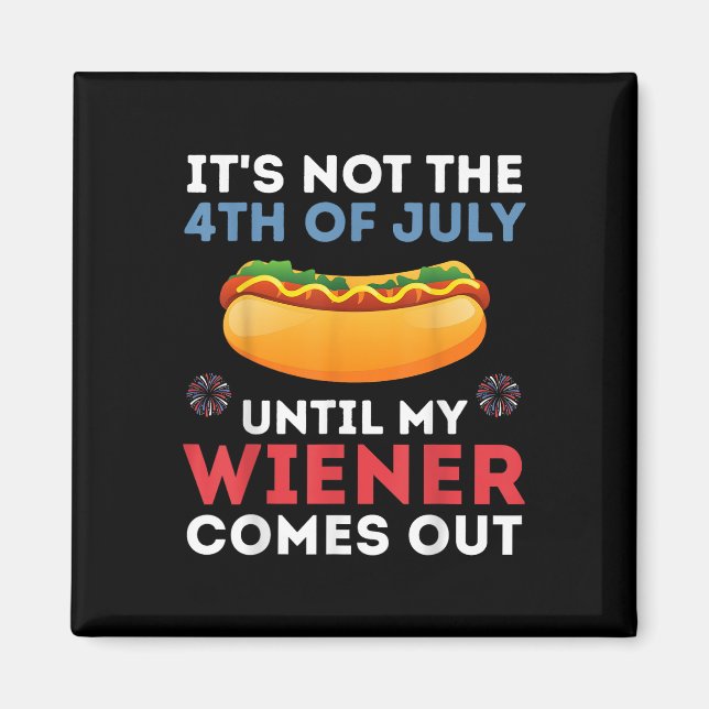 Aimant Ce N'Est Pas Le 4 juillet Jusqu'À Ce Que Mon Évier (Devant)