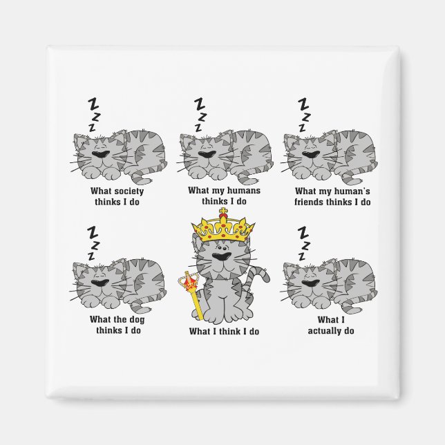 Aimant Ce que le chat pense drôle (Devant)