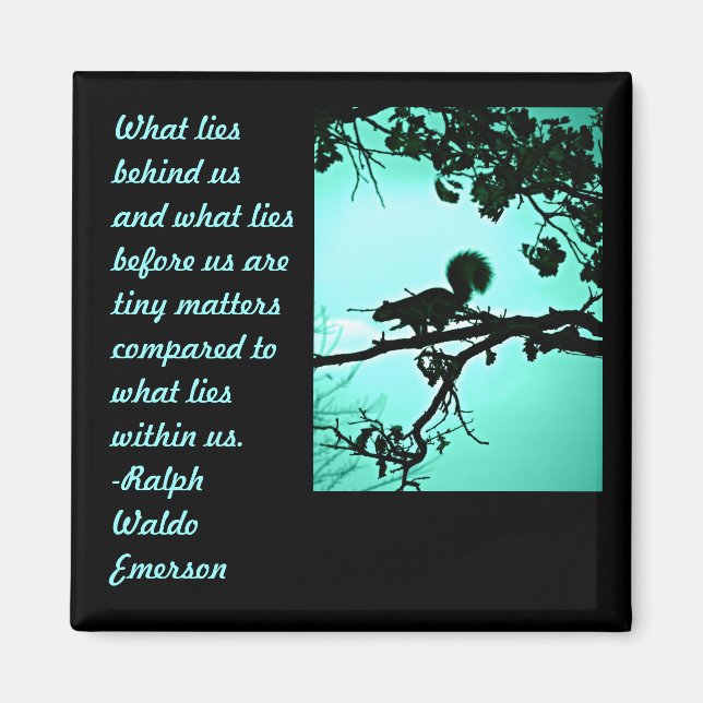 Aimant Ce qui se trouve à l'intérieur (Devant)