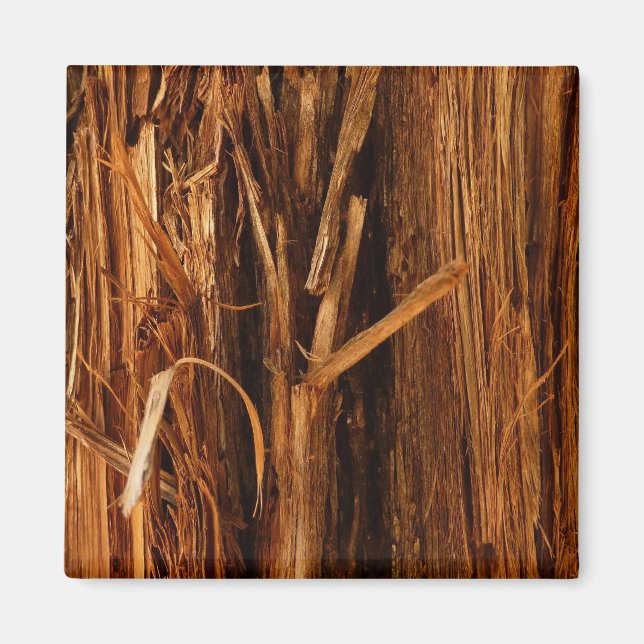 Aimant Cèdre texturé en écorce de bois (Devant)