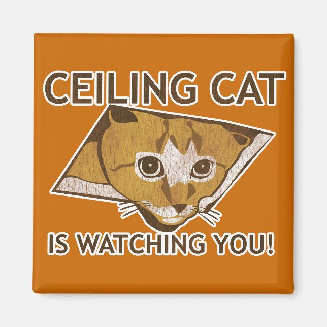 Aimant Ceiling Cat vous regarde ! (Devant)