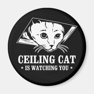 Aimant Ceiling Cat vous regarde