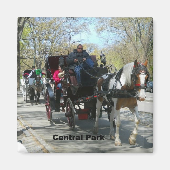 Aimant Central Park, Horse et Carriage (Devant)
