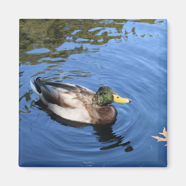 Aimant Central Park NYC Conservatoire Eau Mallard Canard (Devant)