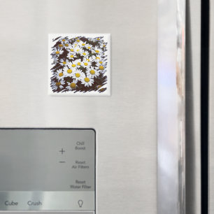 Aimant Centre Jaune Blancs Casta Daisies Photographie