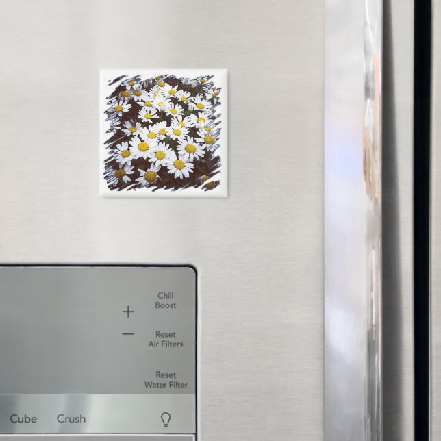 Aimant Centre Jaune Blancs Casta Daisies Photographie (In situ (réfrigérateur))