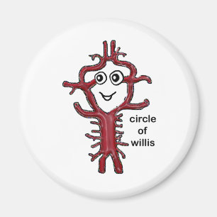 Aimant Cercle de Willis