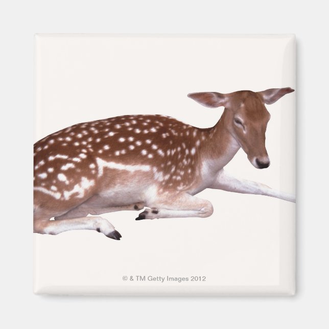 Aimant cerf 2 (Devant)