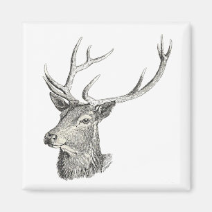 Aimant Cerf Buck Head avec Antlers Black and White Art