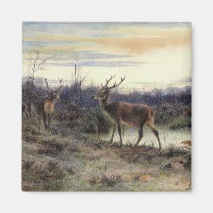 Aimant Cerf dans la forêt de Fontainebleau (Rosa Bonheur)